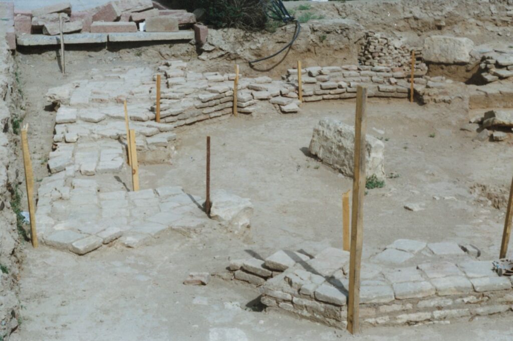 Жас ана баласының порносын қалайды